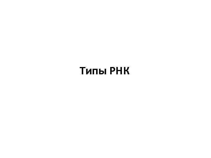 Типы РНК 