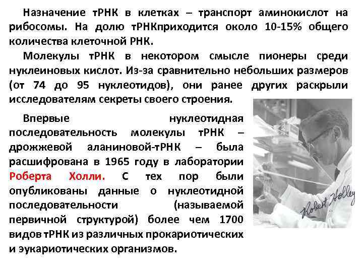 Назначение т. РНК в клетках – транспорт аминокислот на рибосомы. На долю т. РНКприходится