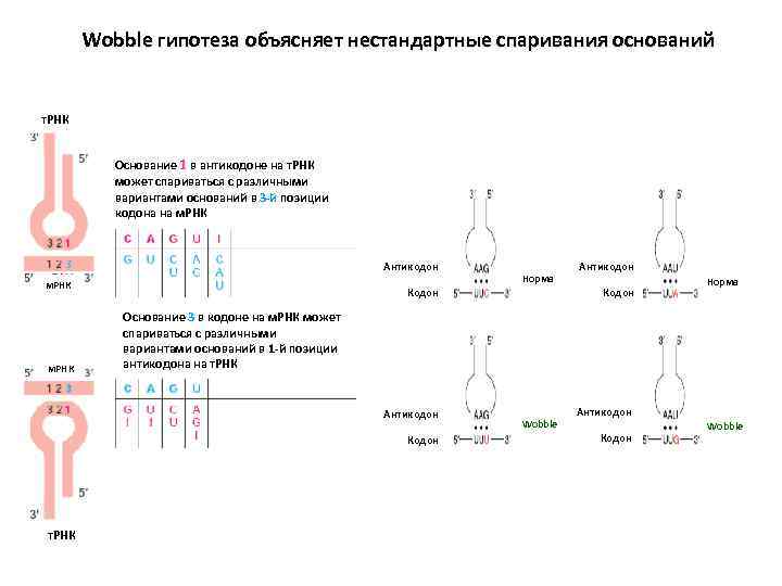 Wobble перевод