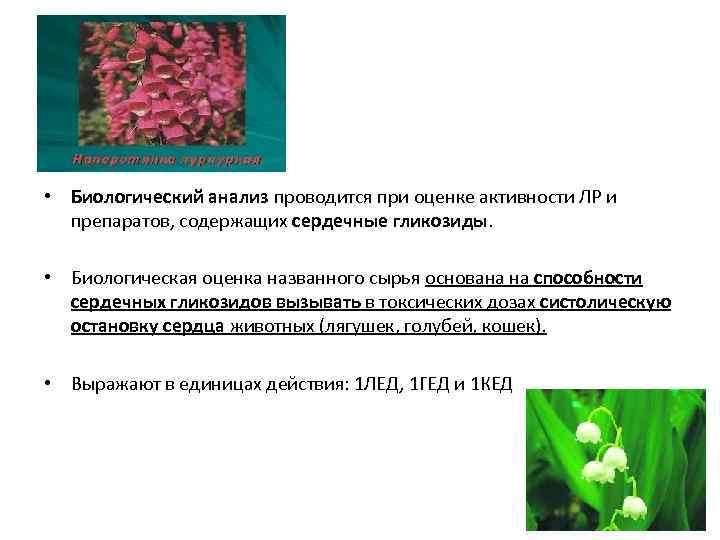  • Биологический анализ проводится при оценке активности ЛР и препаратов, содержащих сердечные гликозиды.