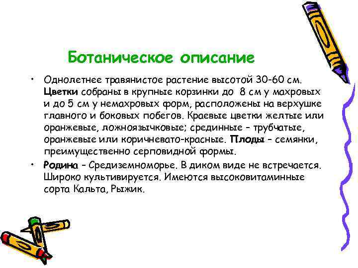 Ботаническое описание • Однолетнее травянистое растение высотой 30 -60 см. Цветки собраны в крупные
