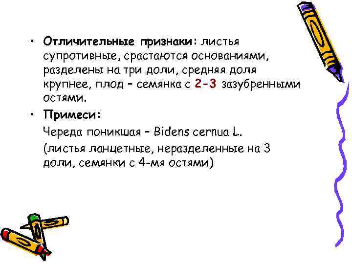  • Отличительные признаки: листья супротивные, срастаются основаниями, разделены на три доли, средняя доля