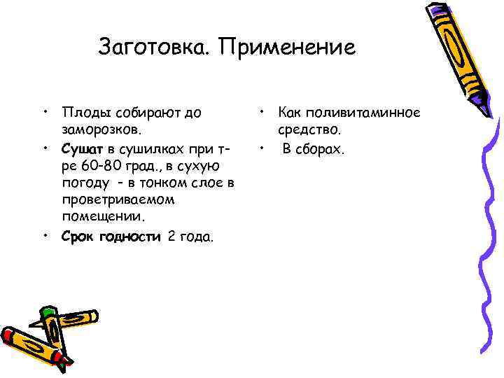 Заготовка. Применение • Плоды собирают до заморозков. • Сушат в сушилках при тре 60