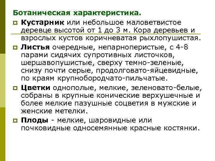 Ботаническая характеристика. p Кустарник или небольшое маловетвистое деревце высотой от 1 до 3 м.