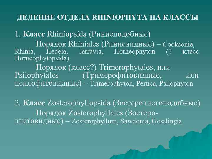 ДЕЛЕНИЕ ОТДЕЛА RHINIOPHYTA НА КЛАССЫ 1. Класс Rhiniopsida (Риниеподобные) Порядок Rhiniales (Риниевидные) – Cooksonia,