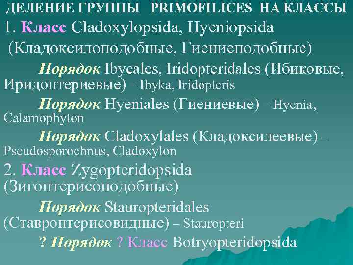 ДЕЛЕНИЕ ГРУППЫ PRIMOFILICES НА КЛАССЫ 1. Класс Cladoxylopsida, Hyeniopsida (Кладоксилоподобные, Гиениеподобные) Порядок Ibycales, Iridopteridales