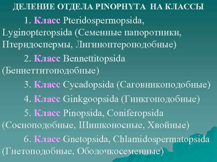ДЕЛЕНИЕ ОТДЕЛА PINOPHYTA НА КЛАССЫ 1. Класс Pteridospermopsida, Lyginopteropsida (Семенные папоротники, Птеридоспермы, Лигиноптероподобные) 2.
