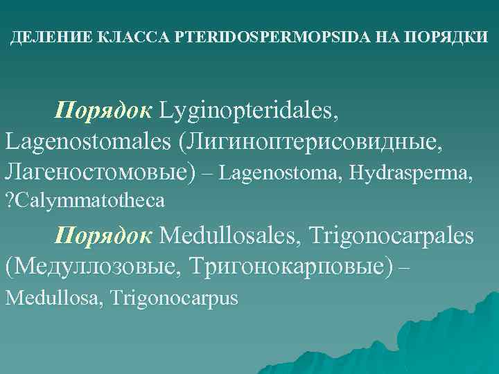ДЕЛЕНИЕ КЛАССА PTERIDOSPERMOPSIDA НА ПОРЯДКИ Порядок Lyginopteridales, Lagenostomales (Лигиноптерисовидные, Лагеностомовые) – Lagenostoma, Hydrasperma, ?