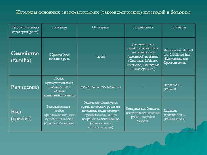 Иерархия основных систематических (таксономических) категорий в ботанике Таксономическая категория (ранг) Название Окончание Примечания Примеры