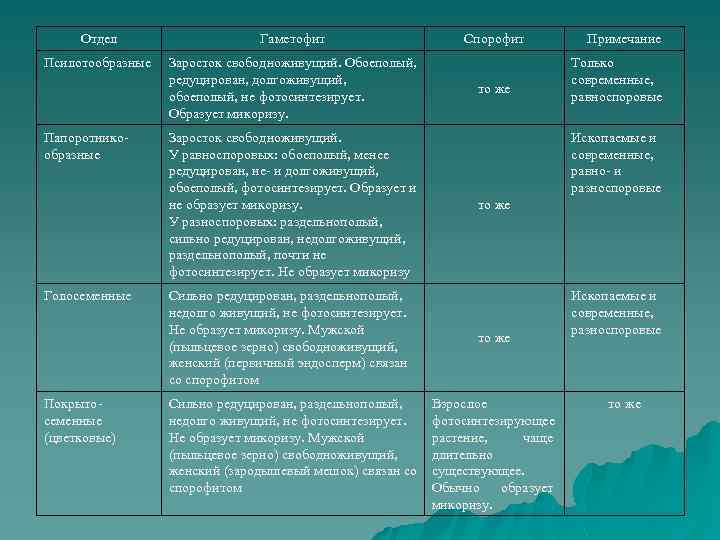 Отдел Гаметофит Псилотообразные Заросток свободноживущий. Обоеполый, редуцирован, долгоживущий, обоеполый, не фотосинтезирует. Образует микоризу. Папоротникообразные