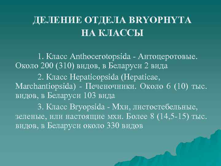 ДЕЛЕНИЕ ОТДЕЛА BRYOPHYTA НА КЛАССЫ 1. Класс Anthocerotopsida - Антоцеротовые. Около 200 (310) видов,