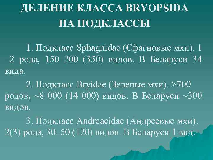 ДЕЛЕНИЕ КЛАССА BRYOPSIDA НА ПОДКЛАССЫ 1. Подкласс Sphagnidae (Сфагновые мхи). 1 – 2 рода,