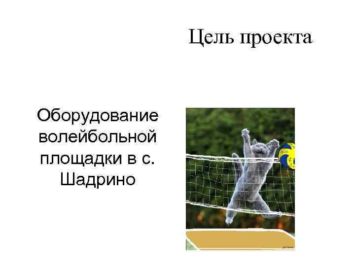 Цель проекта Оборудование волейбольной площадки в с. Шадрино 