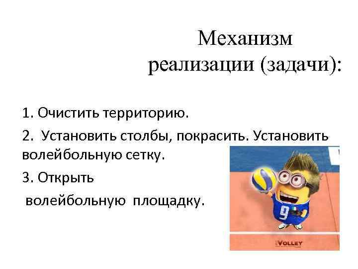Механизм реализации (задачи): 1. Очистить территорию. 2. Установить столбы, покрасить. Установить волейбольную сетку. 3.