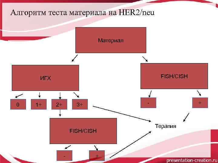 Алгоритм теста