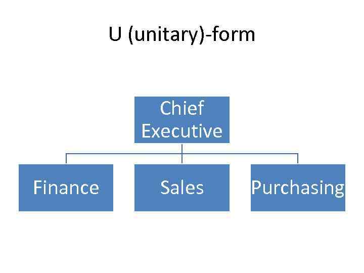 U (unitary)-form Chief Executive Finance Sales Purchasing 