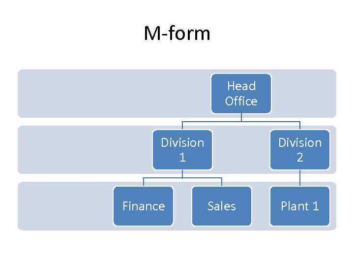M-form Head Office Division 1 Finance Division 2 Sales Plant 1 