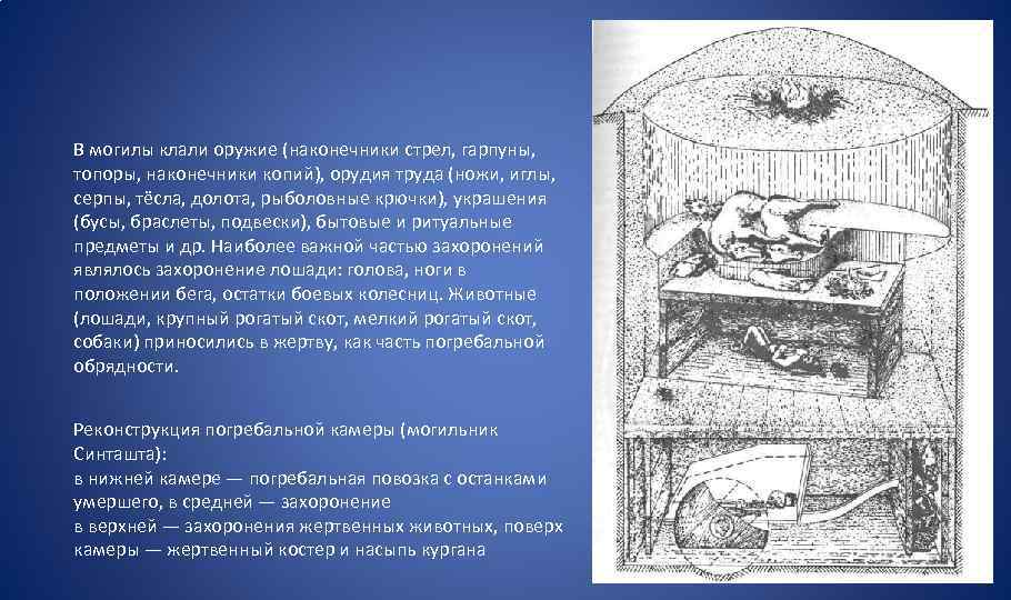 В могилы клали оружие (наконечники стрел, гарпуны, топоры, наконечники копий), орудия труда (ножи, иглы,