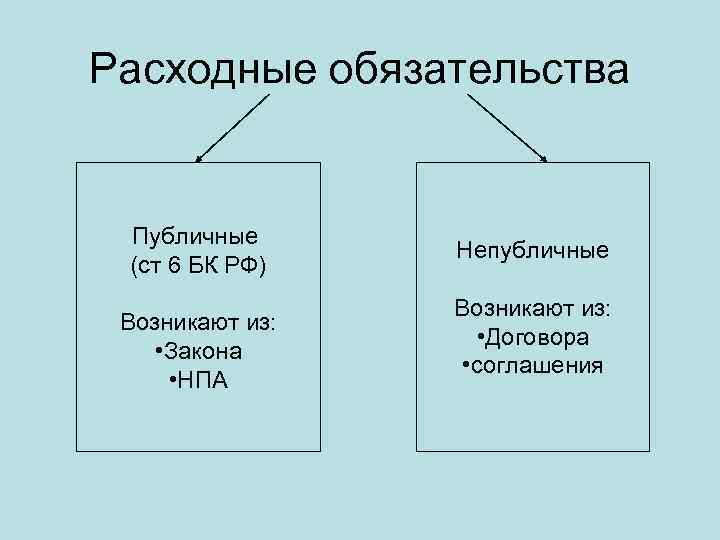Расходные обязательства Публичные (ст 6 БК РФ) Возникают из: • Закона • НПА Непубличные