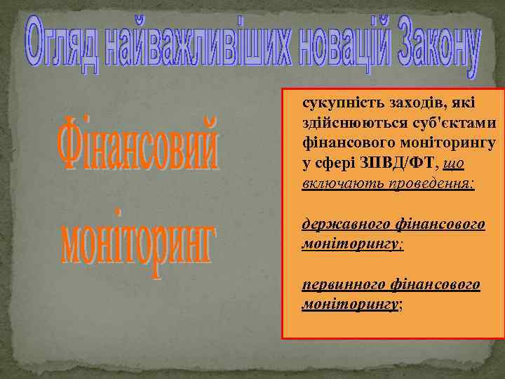  сукупність заходів, які здійснюються суб'єктами фінансового моніторингу у сфері ЗПВД/ФТ, що включають проведення: