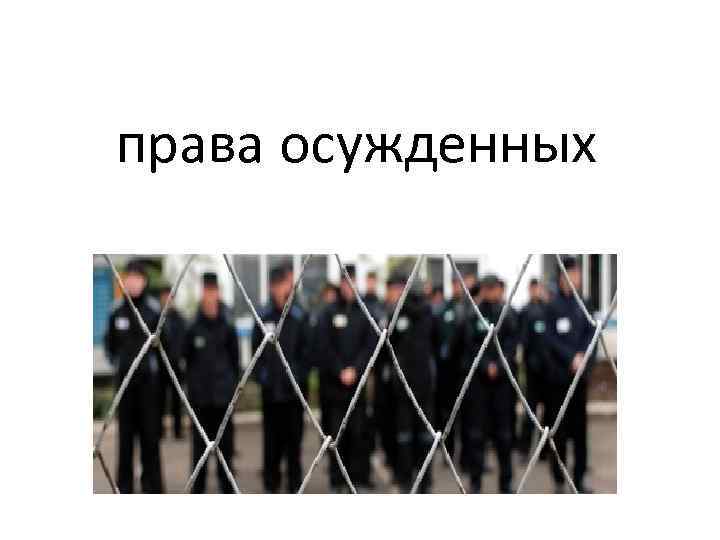 права осужденных 