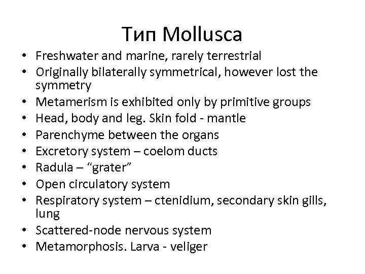 Тип Mollusca • Freshwater and marine, rarely terrestrial • Originally bilaterally symmetrical, however lost
