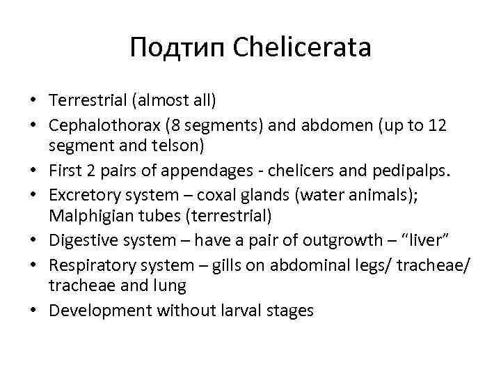 Подтип Chelicerata • Terrestrial (almost all) • Cephalothorax (8 segments) and abdomen (up to