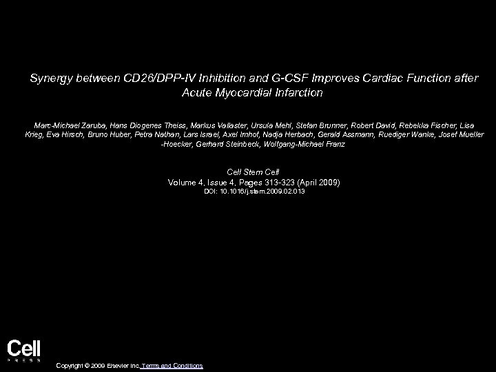 Synergy between CD 26/DPP-IV Inhibition and G-CSF Improves Cardiac Function after Acute Myocardial Infarction