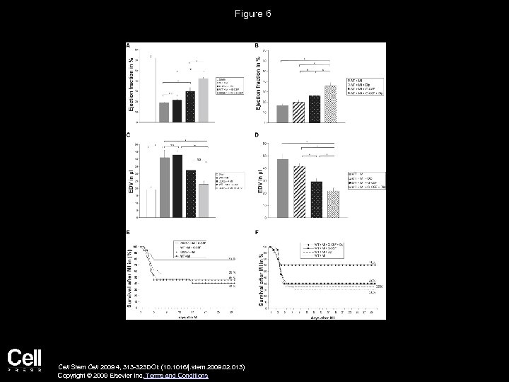 Figure 6 Cell Stem Cell 2009 4, 313 -323 DOI: (10. 1016/j. stem. 2009.