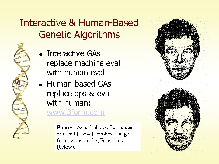 Interactive & Human-Based Genetic Algorithms l l Interactive GAs replace machine eval with human