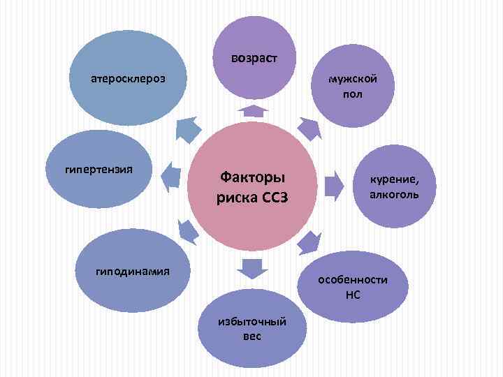 возраст атеросклероз гипертензия мужской пол Факторы риска ССЗ гиподинамия курение, алкоголь особенности НС избыточный