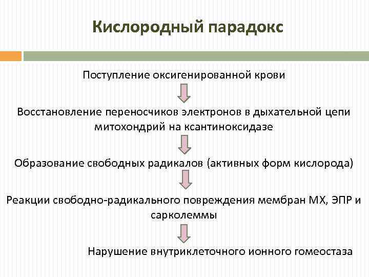 Кислородный парадокс Поступление оксигенированной крови Восстановление переносчиков электронов в дыхательной цепи митохондрий на ксантиноксидазе