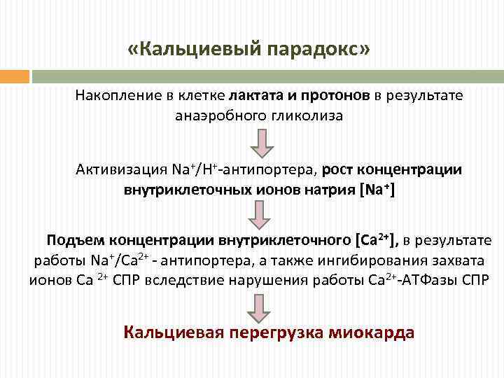  «Кальциевый парадокс» Накопление в клетке лактата и протонов в результате анаэробного гликолиза Активизация