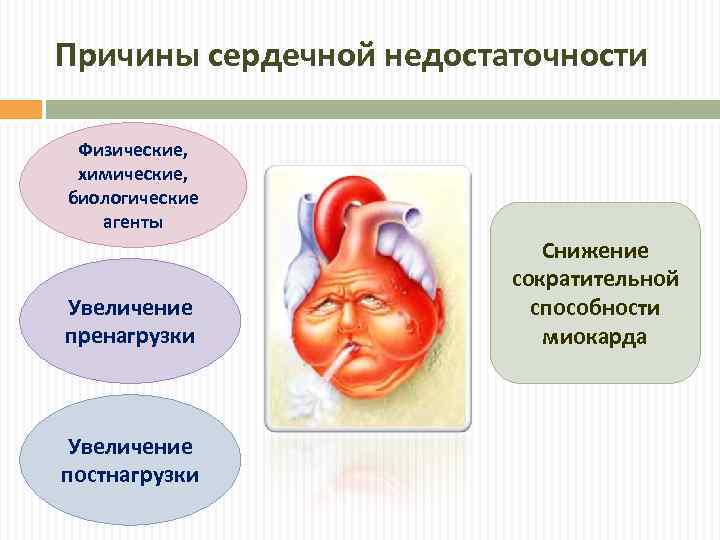 Причины сердечной недостаточности Физические, химические, биологические агенты Увеличение пренагрузки Увеличение постнагрузки Снижение сократительной способности