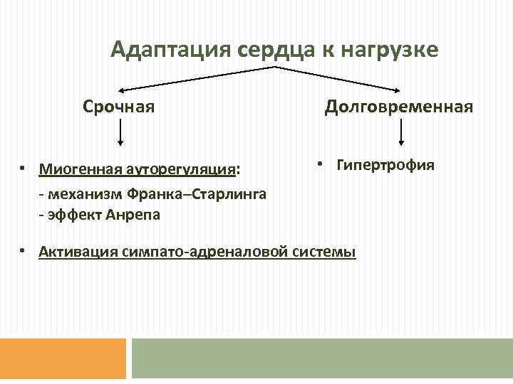 Адаптация сердца к нагрузке Срочная • Миогенная ауторегуляция: - механизм Франка–Старлинга - эффект Анрепа