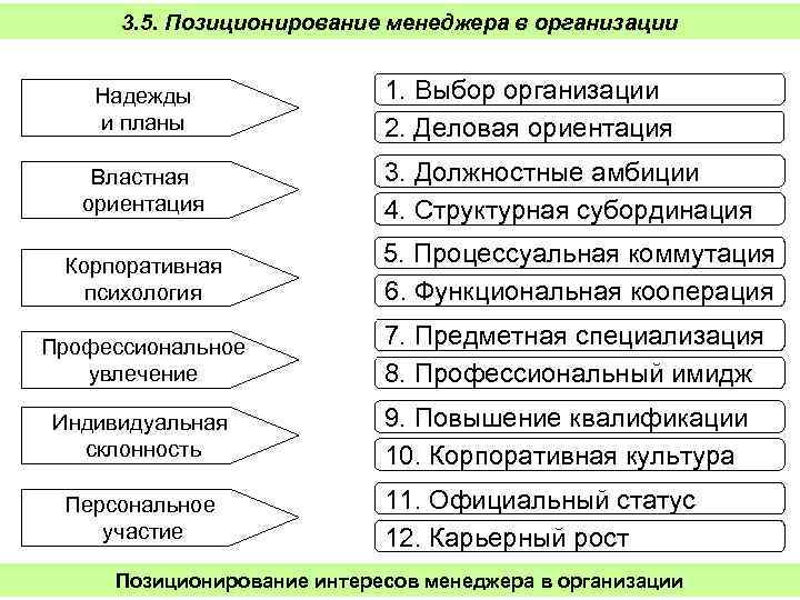 3. 5. Позиционирование менеджера в организации Надежды и планы Властная ориентация 1. Выбор организации