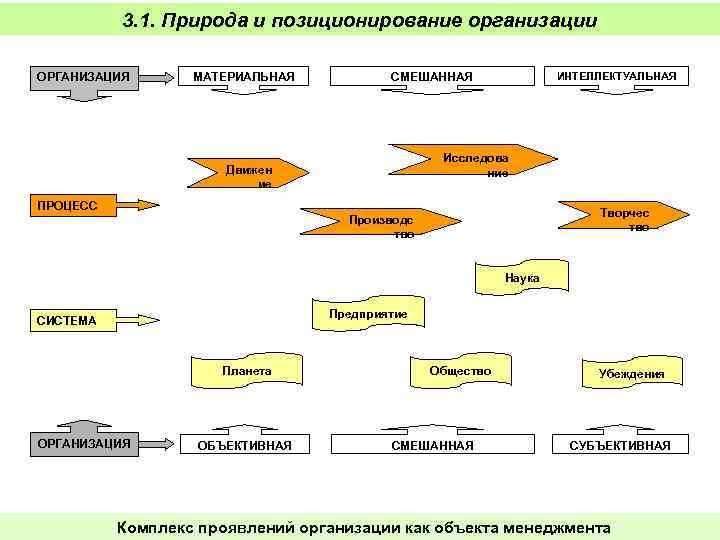 3. 1. Природа и позиционирование организации ОРГАНИЗАЦИЯ МАТЕРИАЛЬНАЯ ИНТЕЛЛЕКТУАЛЬНАЯ СМЕШАННАЯ Исследова ние Движен ие