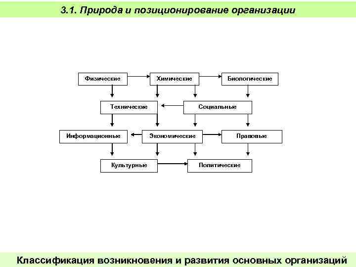 3. 1. Природа и позиционирование организации Физические Химические Технические Информационные Культурные Биологические Социальные Экономические