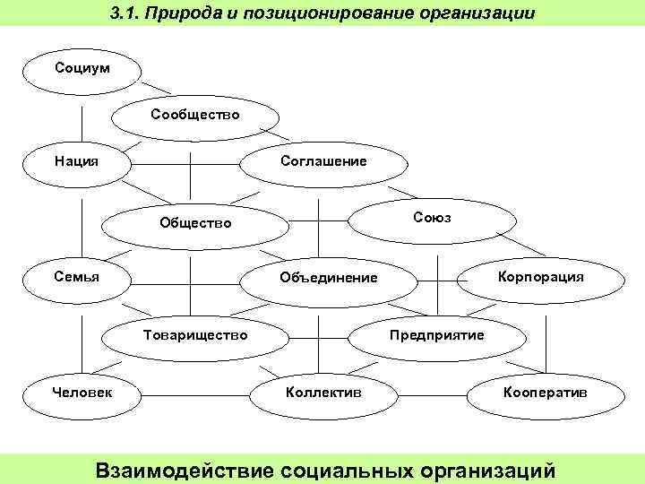 3. 1. Природа и позиционирование организации Социум Сообщество Нация Соглашение Союз Общество Семья Товарищество