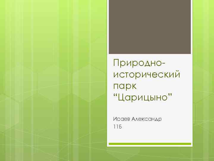 Природноисторический парк “Царицыно” Исаев Александр 11 Б 