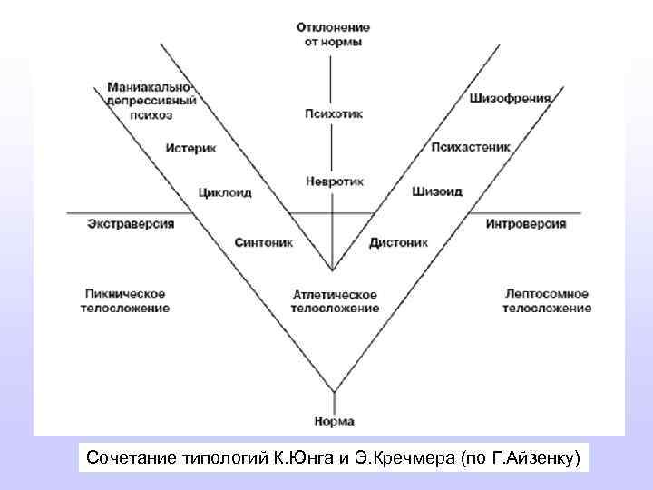 Сочетание типологий К. Юнга и Э. Кречмера (по Г. Айзенку) 