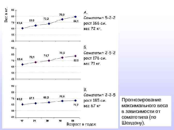 Прогнозирование максимального веса в зависимости от соматотипа (по Шелдону). 