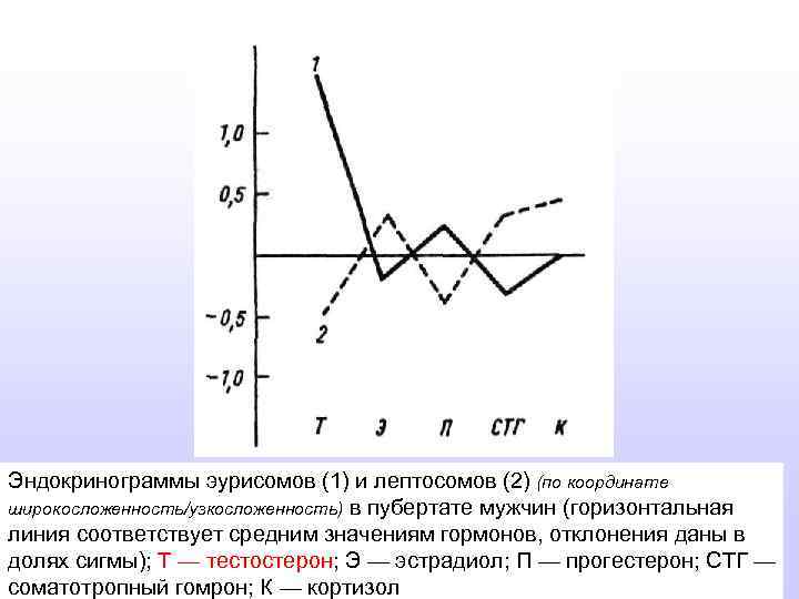 Эндокринограммы эурисомов (1) и лептосомов (2) (по координате широкосложенность/узкосложенность) в пубертате мужчин (горизонтальная линия