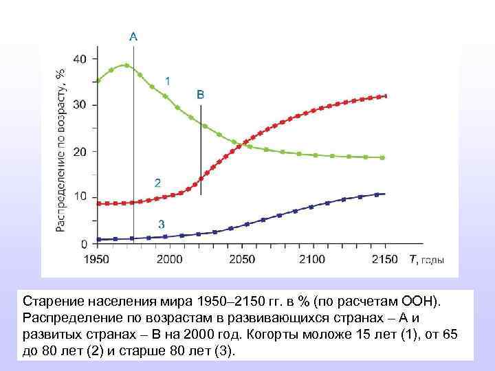 Старение населения мира 1950– 2150 гг. в % (по расчетам ООН). Распределение по возрастам