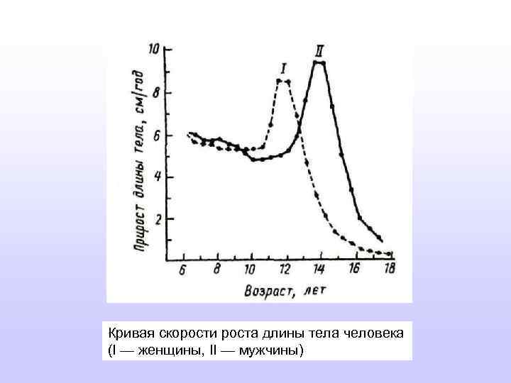 Кривая скорости роста длины тела человека (I — женщины, II — мужчины) 