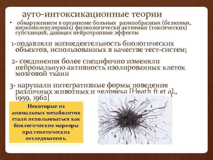  ауто-интоксикационные теории • обнаружением в организме больных разнообразных (белковых, низкомолекулярных) физиологически активных (токсических)