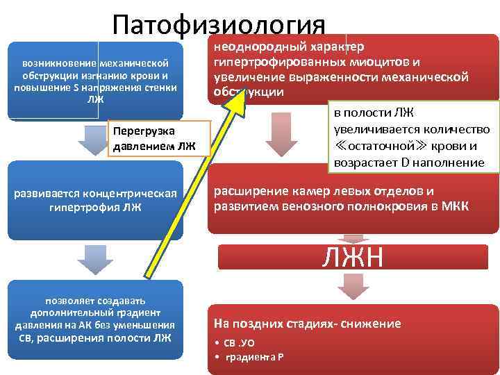 Патофизиология возникновение механической обструкции изгнанию крови и повышение S напряжения стенки ЛЖ Перегрузка давлением