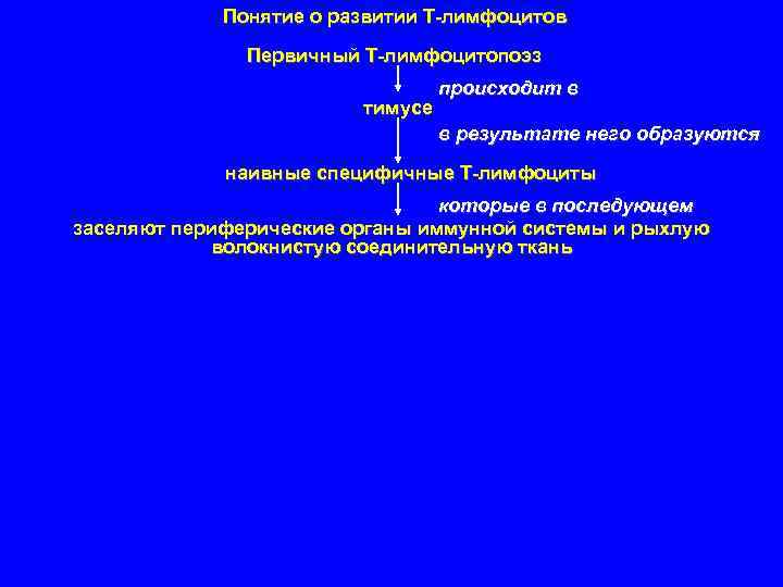 Понятие о развитии Т-лимфоцитов Первичный Т-лимфоцитопоэз тимусе происходит в в результате него образуются наивные