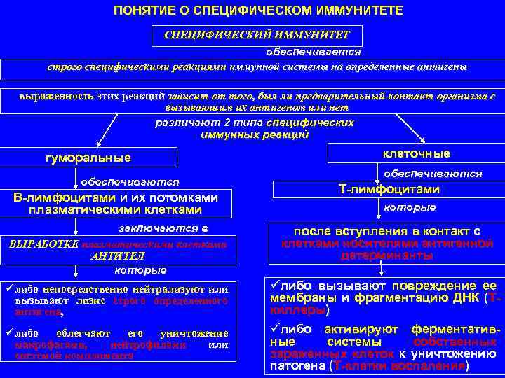 ПОНЯТИЕ О СПЕЦИФИЧЕСКОМ ИММУНИТЕТЕ СПЕЦИФИЧЕСКИЙ ИММУНИТЕТ обеспечивается строго специфическими реакциями иммунной системы на определенные