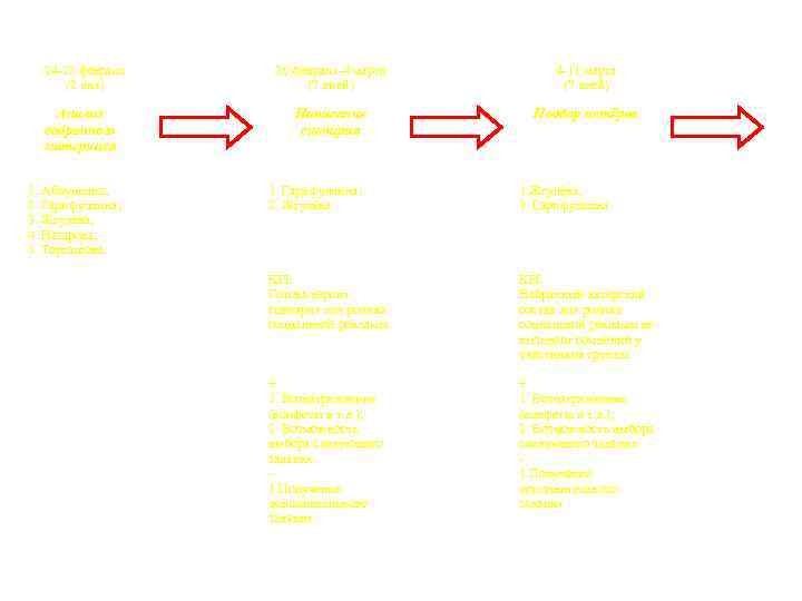 24 -25 февраля (2 дня) Анализ собранного материала 1. Абдуллина; 2. Гарифуллина; 3. Жгулёва;